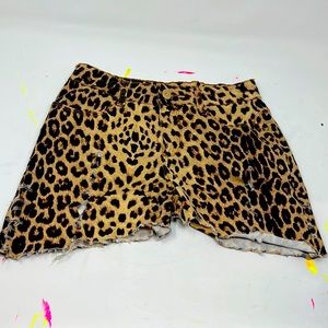 RAWR!! Let the cat out!